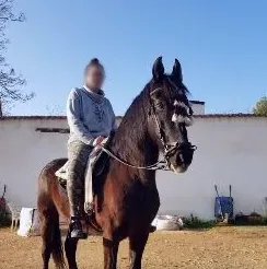 Satu, 31